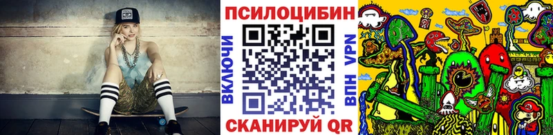 Купить где Нижнекамск Псилоцибиновые грибы Psilocybe